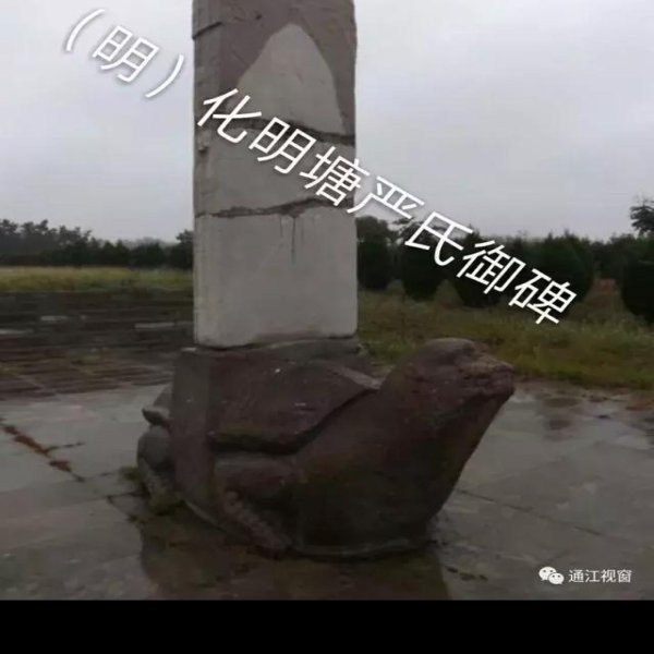 化明塘严氏墓 - 图片4