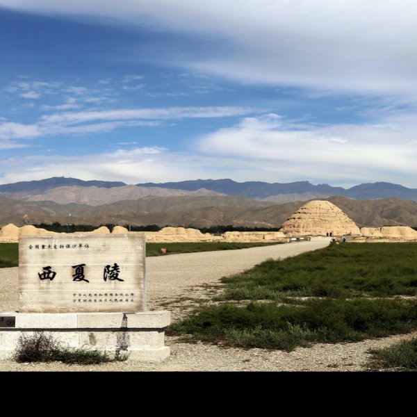 宁夏西夏王陵 - 图片5
