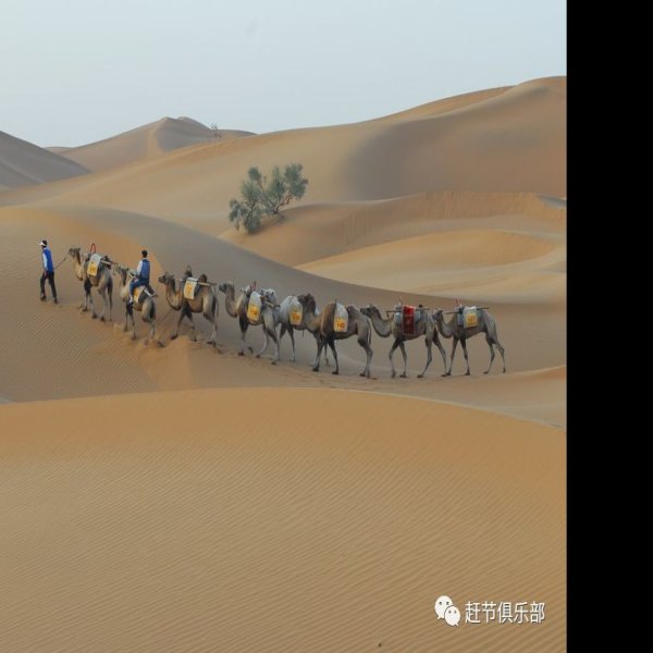 宁夏沙坡头旅游区 - 图片2