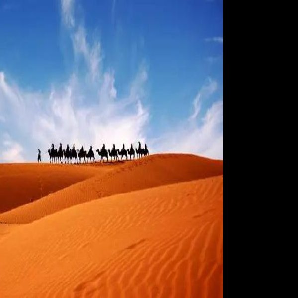 宁夏沙坡头旅游区 - 图片8