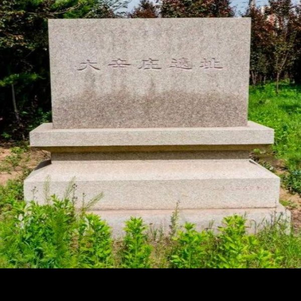 张贵庄遗址 - 图片3