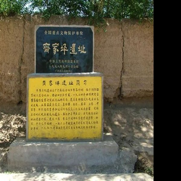 齐家坪遗址 - 图片10