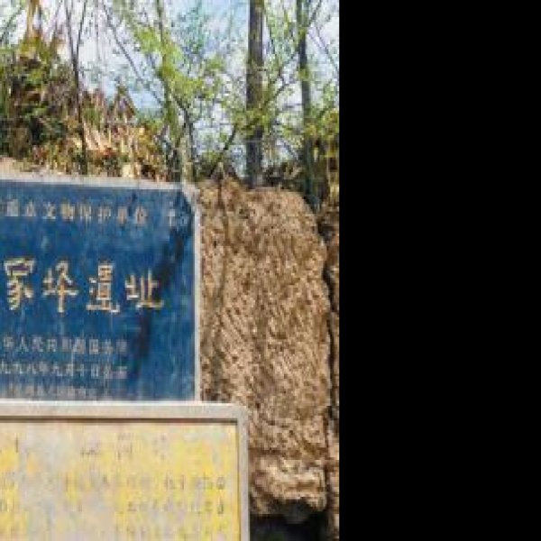 齐家坪遗址 - 图片3
