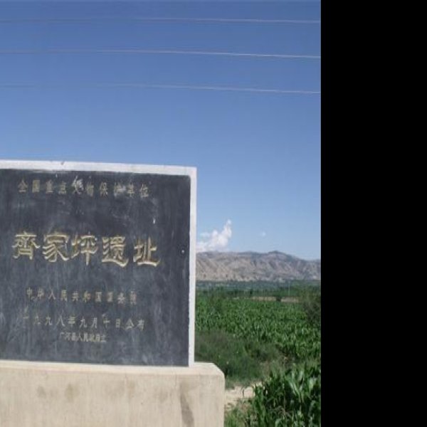 齐家坪遗址 - 图片5