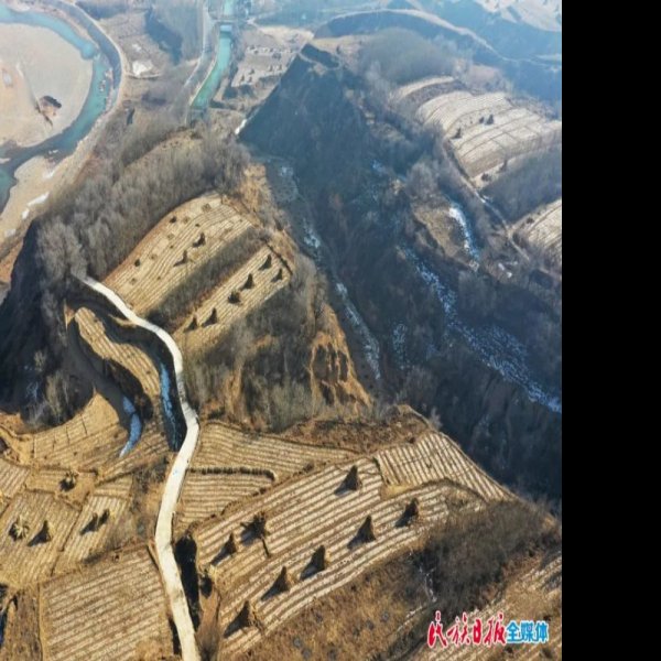 齐家坪遗址 - 图片6