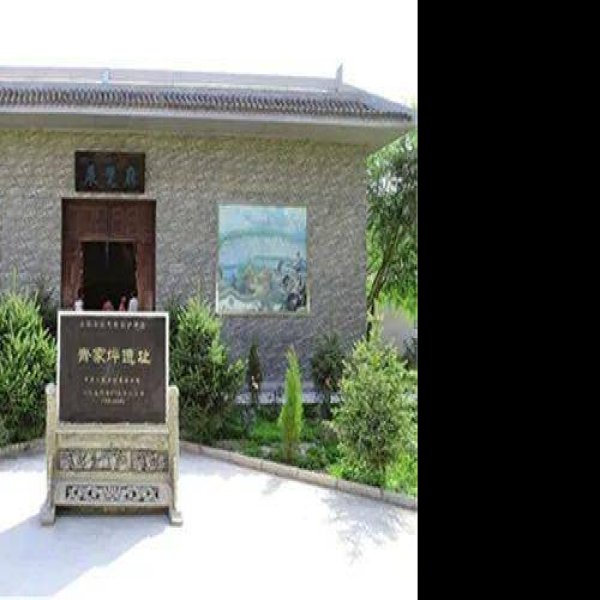 齐家坪遗址 - 图片7