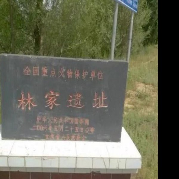 林家遗址 - 图片1