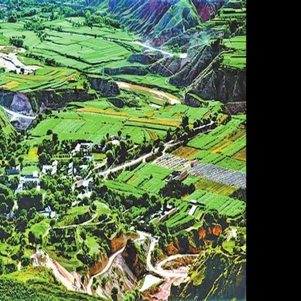 林家遗址 - 图片2