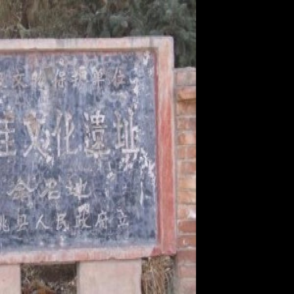寺洼遗址 - 图片1