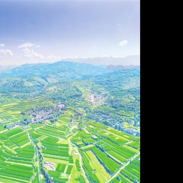 寺洼遗址 - 图片5