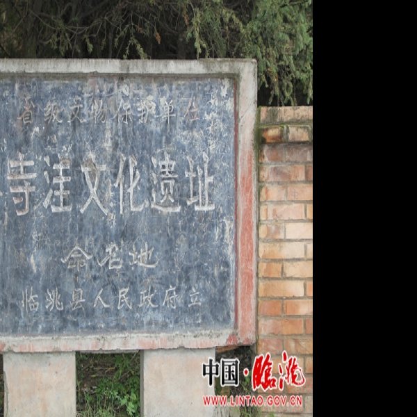 寺洼遗址 - 图片6