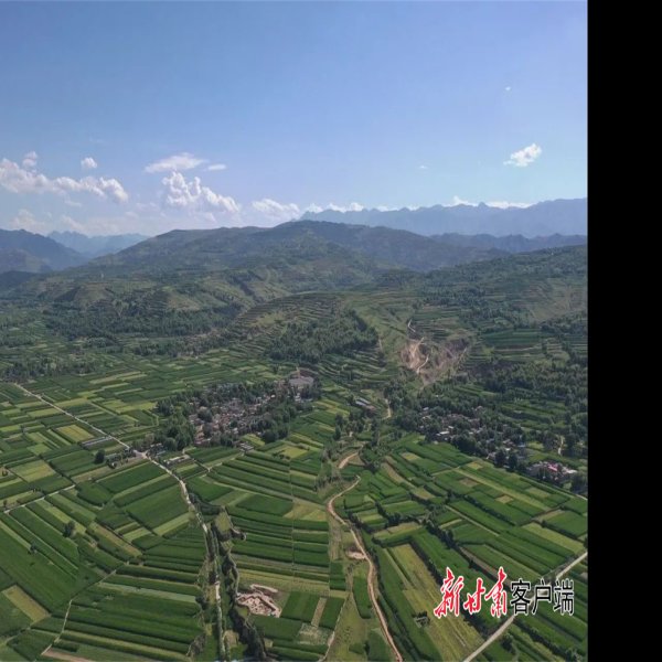 寺洼遗址 - 图片9