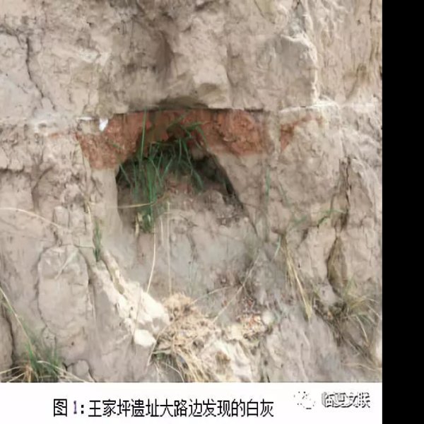 齐家文化遗址群 - 图片5