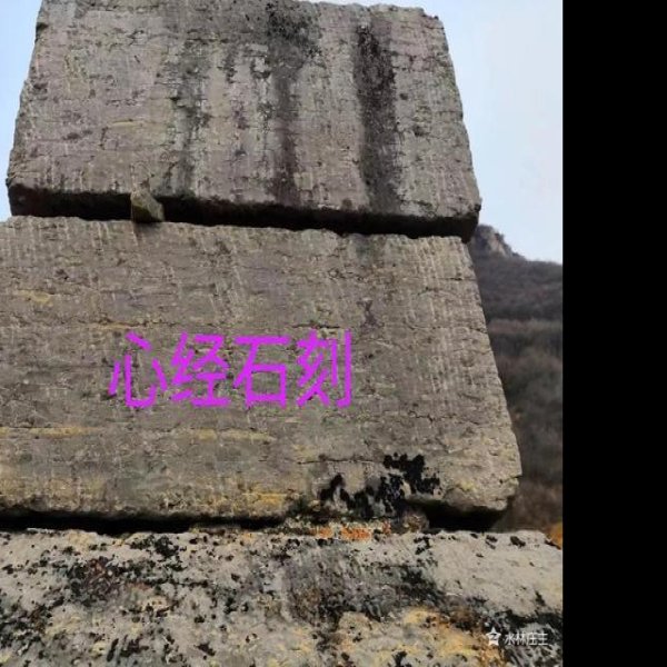 寺儿坪遗址 - 图片10