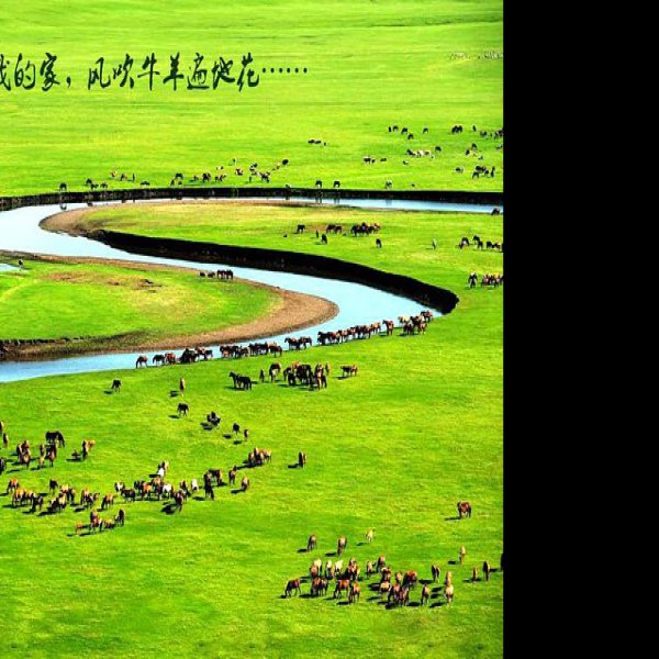 内蒙古呼伦贝尔大草原 - 图片9