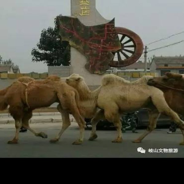 首阳山遗址 - 图片3
