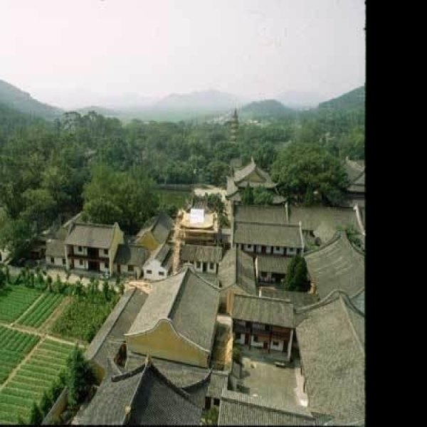 延庆寺 - 图片7