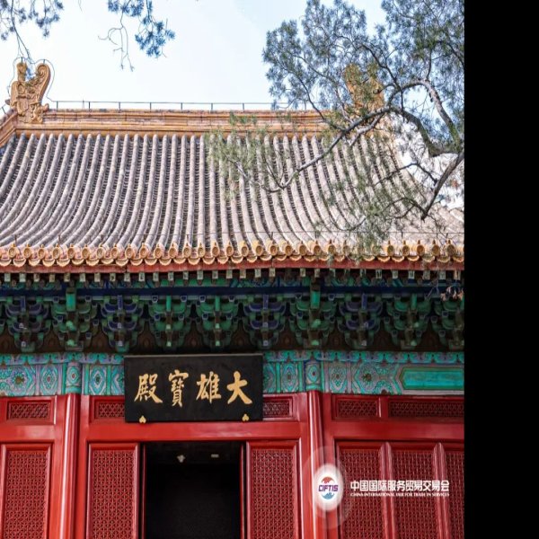 石景山区法海寺 - 图片6