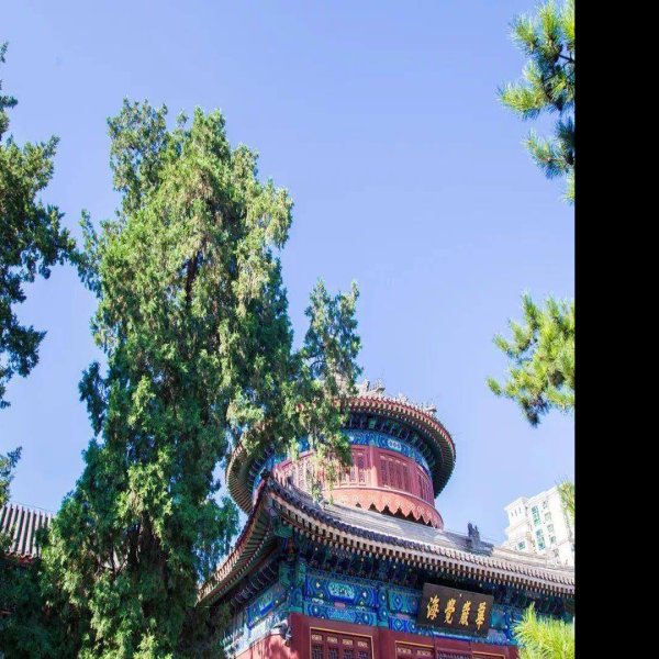 觉生寺 - 图片7