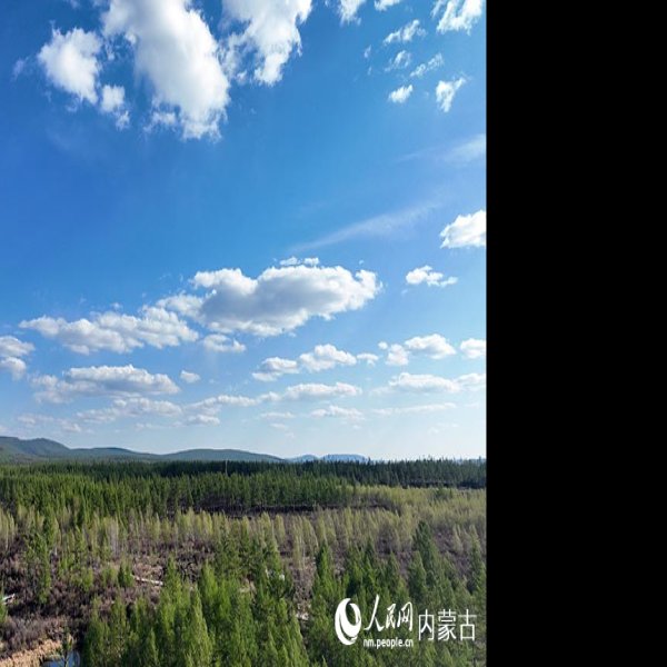 内蒙古阿尔山国家森林公园 - 图片2