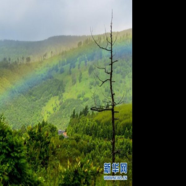 内蒙古阿尔山国家森林公园 - 图片9