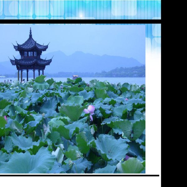 净慈寺 - 图片10