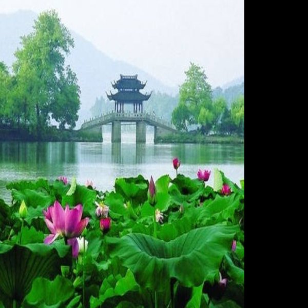 净慈寺 - 图片8