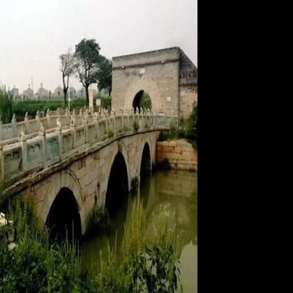 通运桥 - 图片5