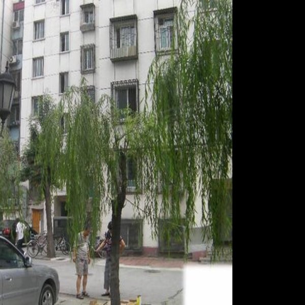 阜成门 - 图片4