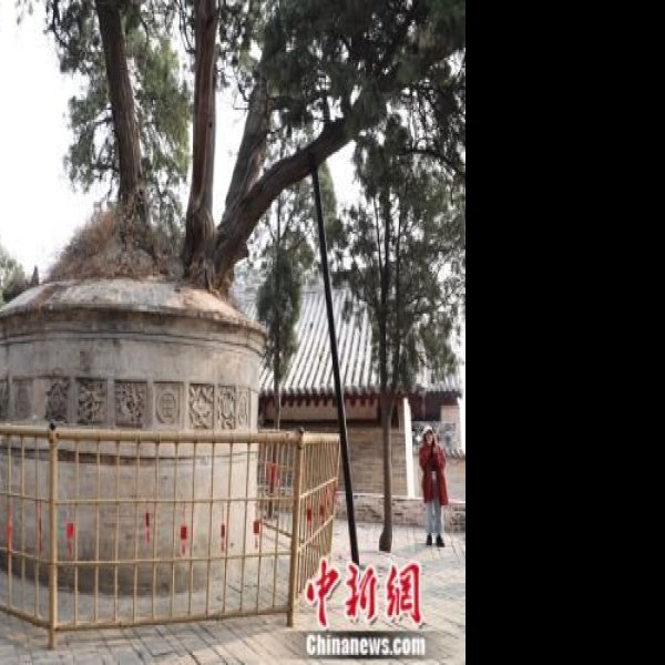 司马迁祠墓 - 图片10