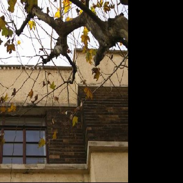 张爱玲故居 - 图片5
