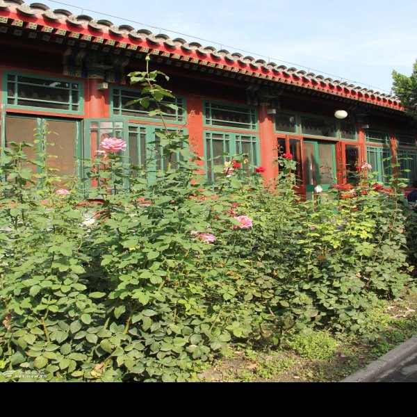 郭沫若纪念馆 - 图片7