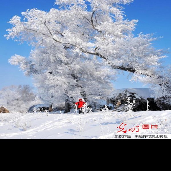 吉林雾凇岛 - 图片4