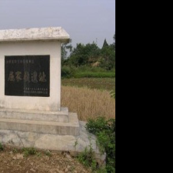 屈家岭遗址 - 图片5