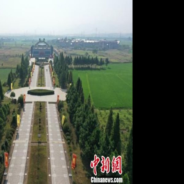 新干大洋洲遗址 - 图片5