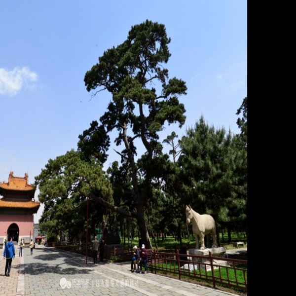 辽宁沈阳北陵公园 - 图片1