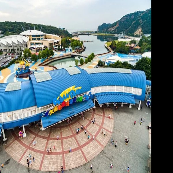 辽宁大连老虎滩海洋公园 - 图片3