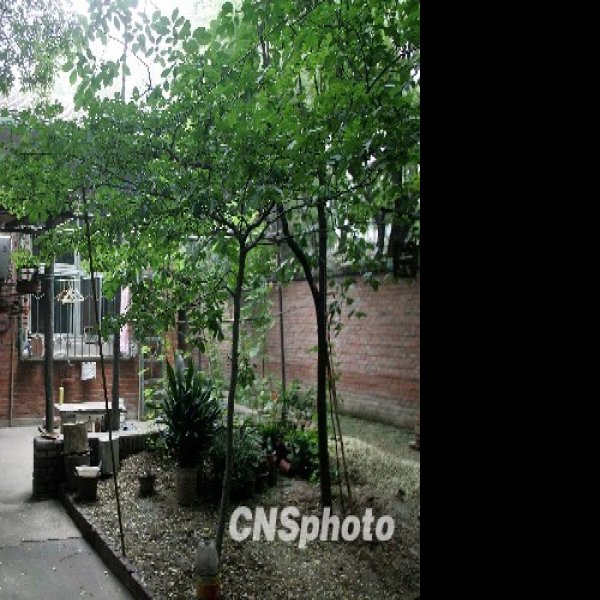 梁思成故居 - 图片2