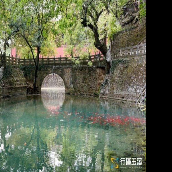 玉溪九龙池 - 图片1