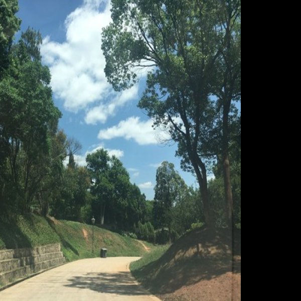 楚雄西山公园 - 图片10
