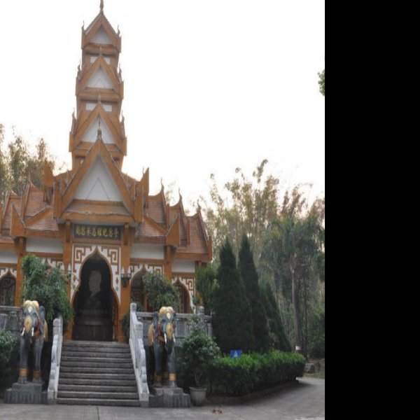 德宏勐巴娜西珍奇园 - 图片10