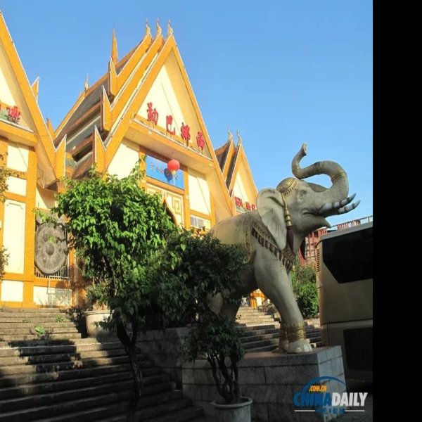德宏勐巴娜西珍奇园 - 图片6