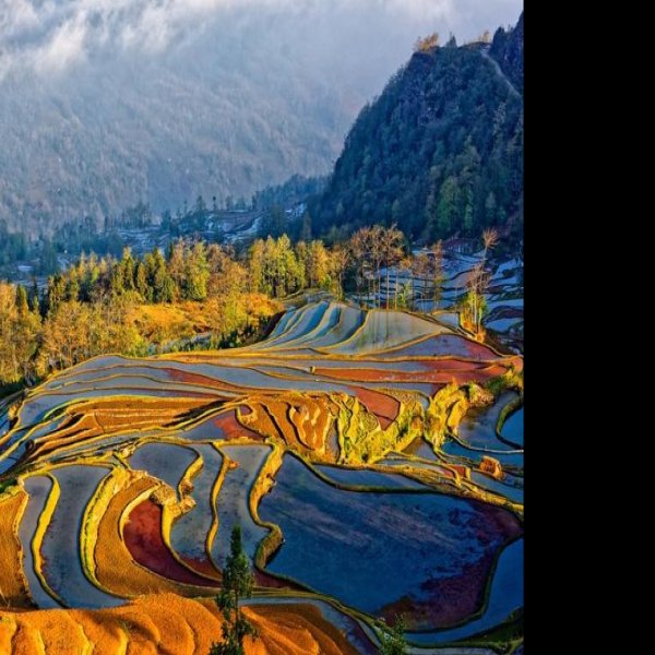 红河元阳哈尼梯田 - 图片3