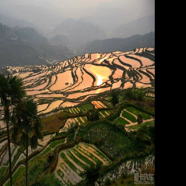 红河元阳哈尼梯田 - 图片5