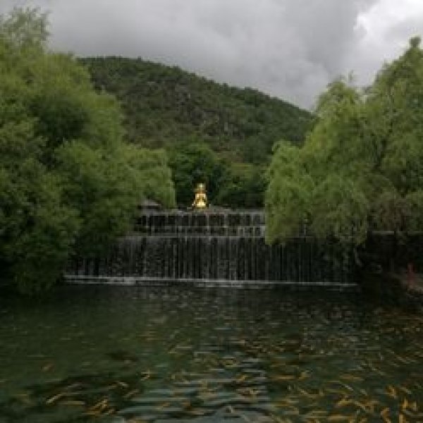 丽江玉水寨 - 图片6