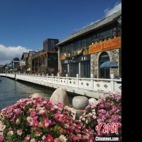 大理双廊古镇 - 图片3