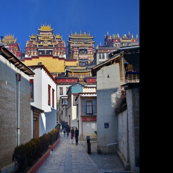 迪庆松赞林寺 - 图片8