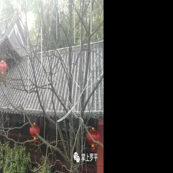曲靖罗平文庙 - 图片6