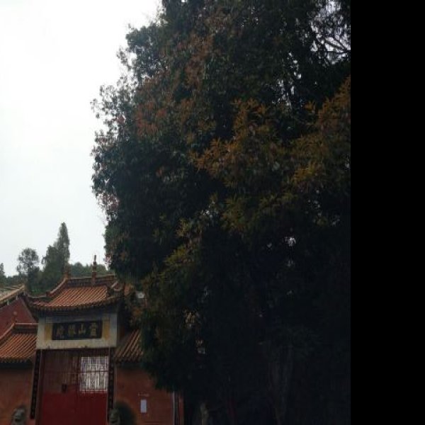 昆明筇竹寺 - 图片10