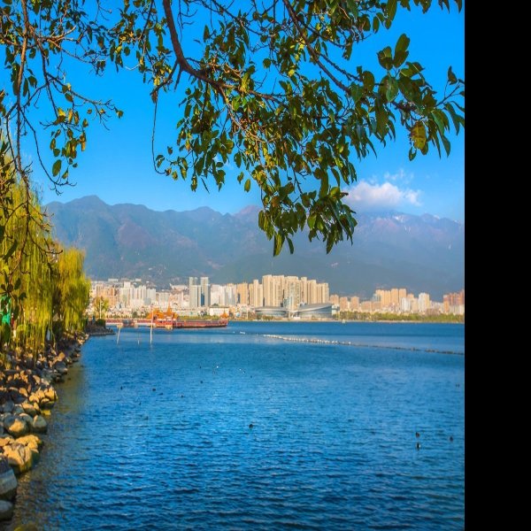 大理洱海公园 - 图片3
